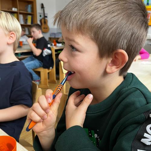 Zahngesundheitsvorsorge