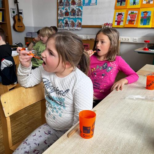 Zahngesundheitsvorsorge