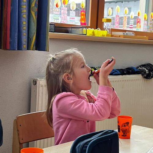Zahngesundheitsvorsorge