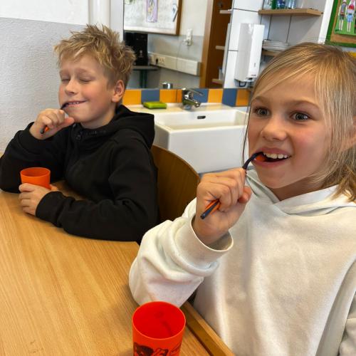 Zahngesundheitsvorsorge