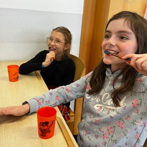 Zahngesundheitsvorsorge