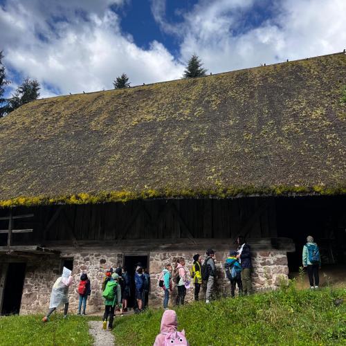 Höfemuseum